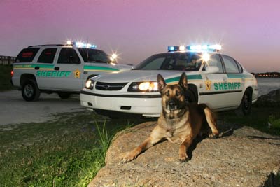 K-9 pictures